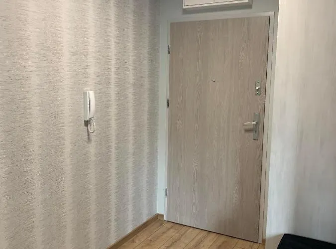 Debowy Appartement *